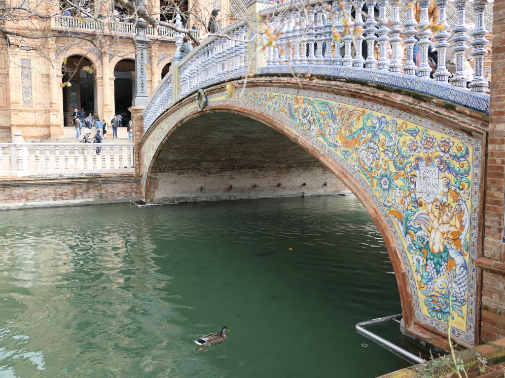 Photo 3 de l'article 1