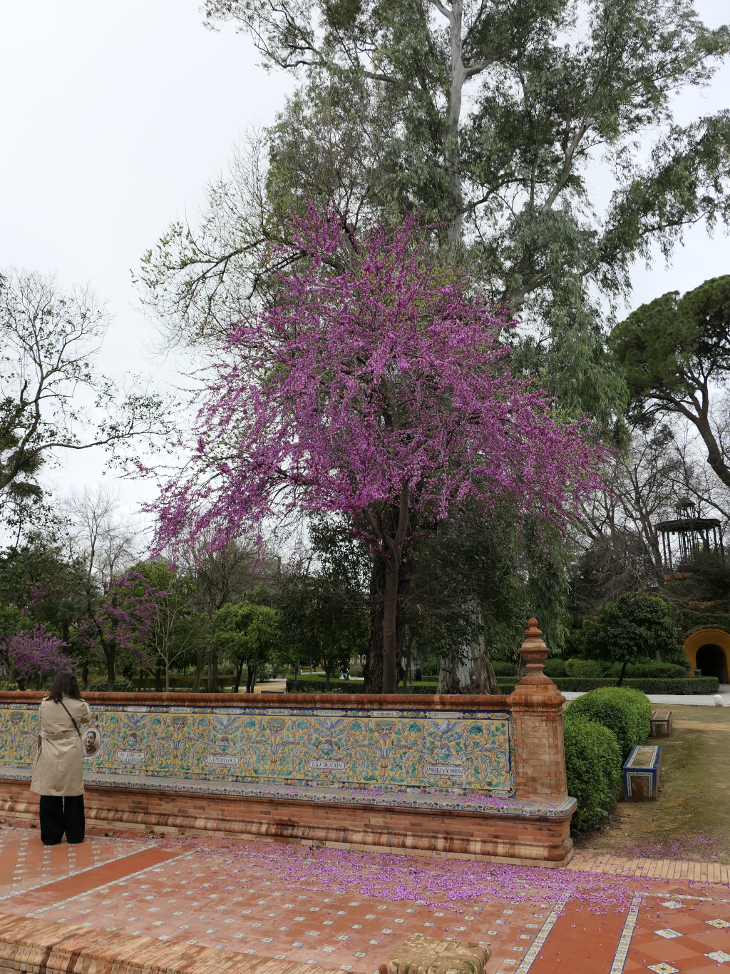 Photo 3 de l'article 1