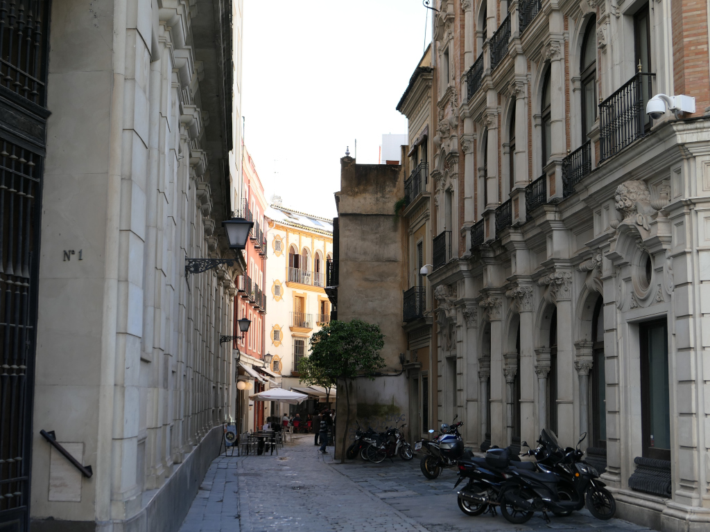 Photo 3 de l'article 1