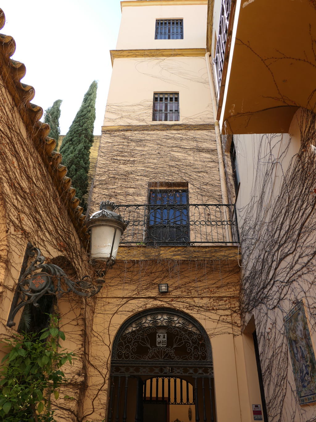 Photo 3 de l'article 1