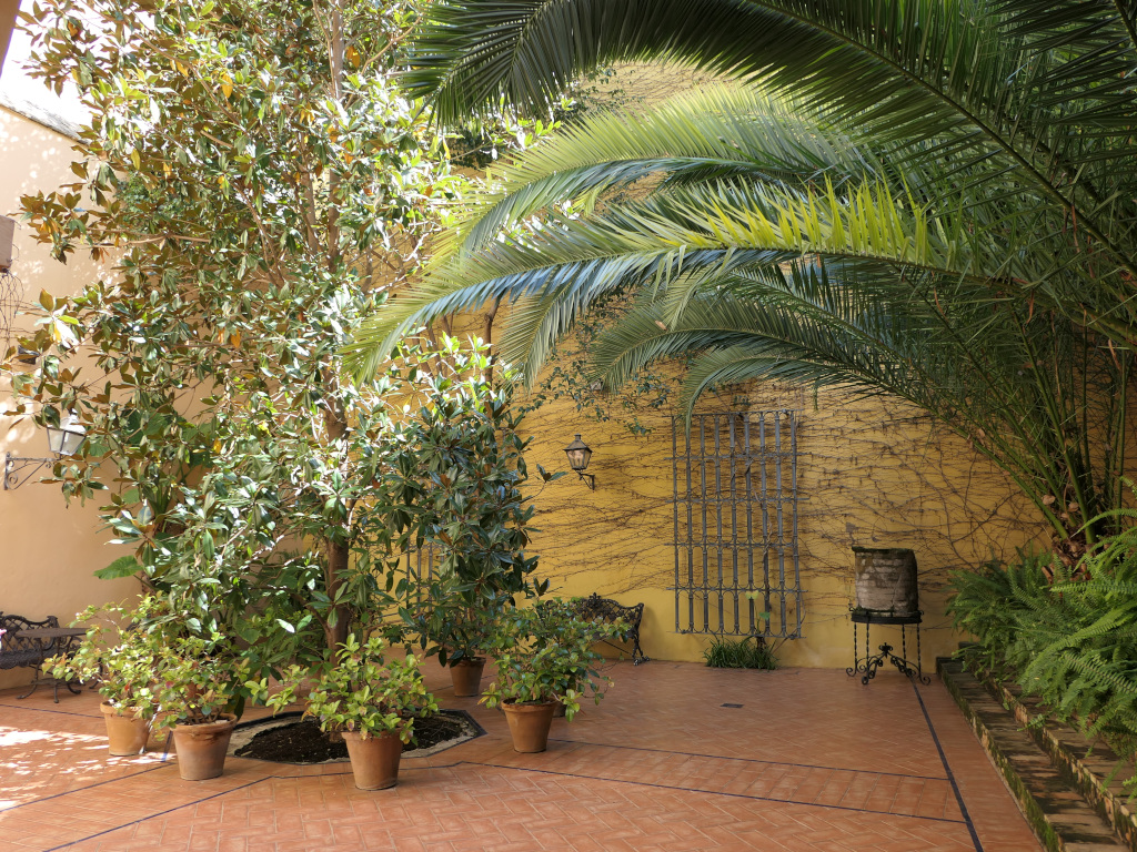 Photo 3 de l'article 1