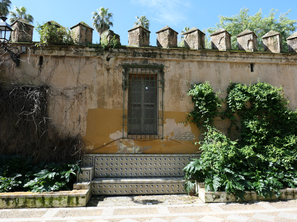 Photo 3 de l'article 1